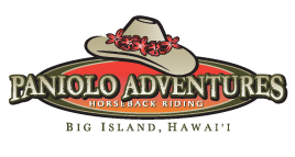 big island horse tour